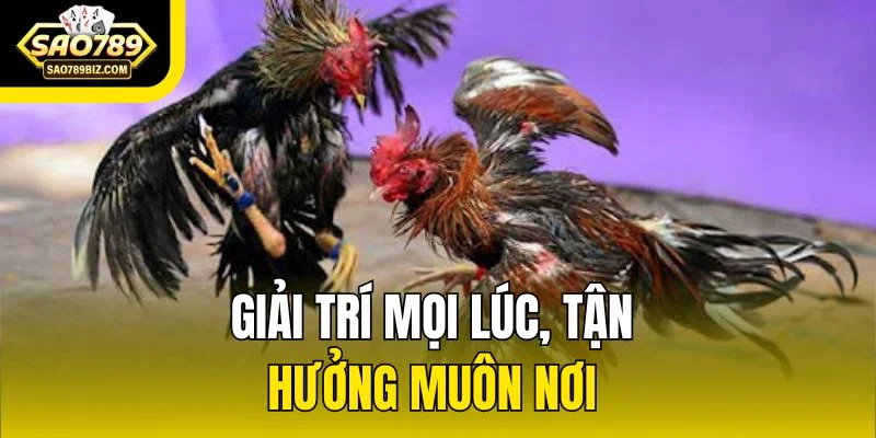 Giải trí mọi lúc, tận hưởng muôn nơi 